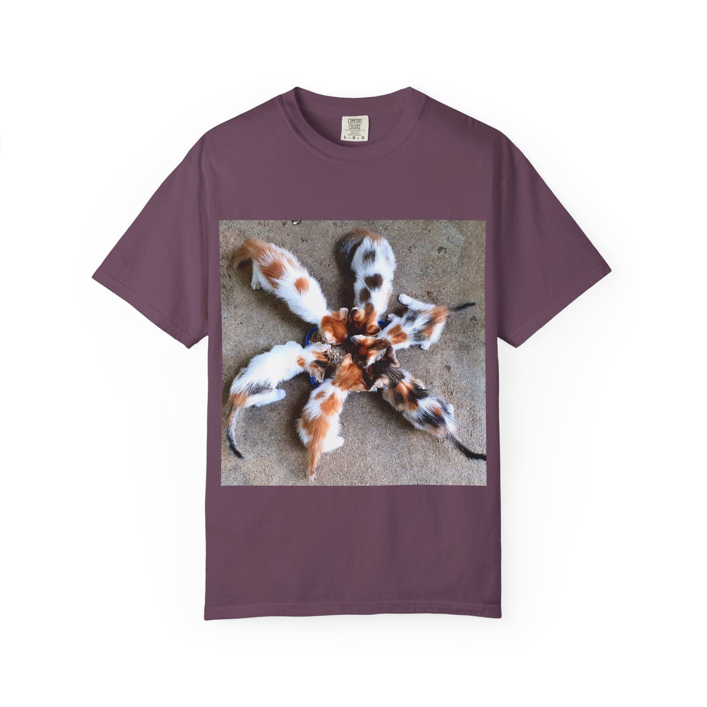Unisex Garment-Dyed T-shirt Kittens