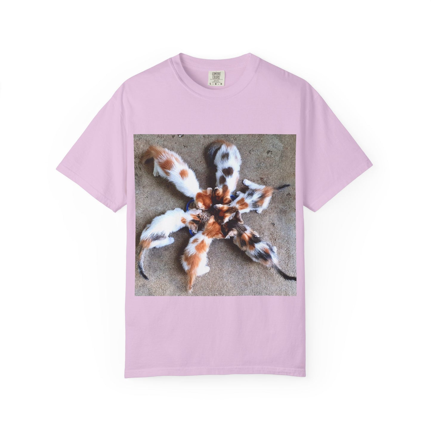 Unisex Garment-Dyed T-shirt Kittens