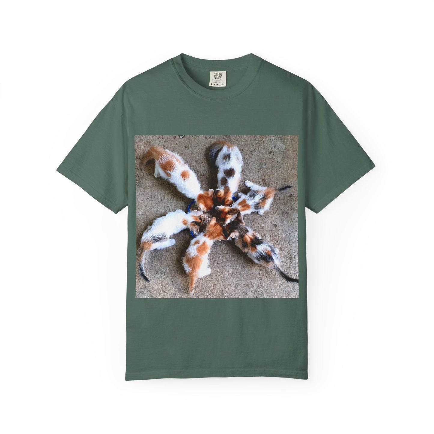 Unisex Garment-Dyed T-shirt Kittens