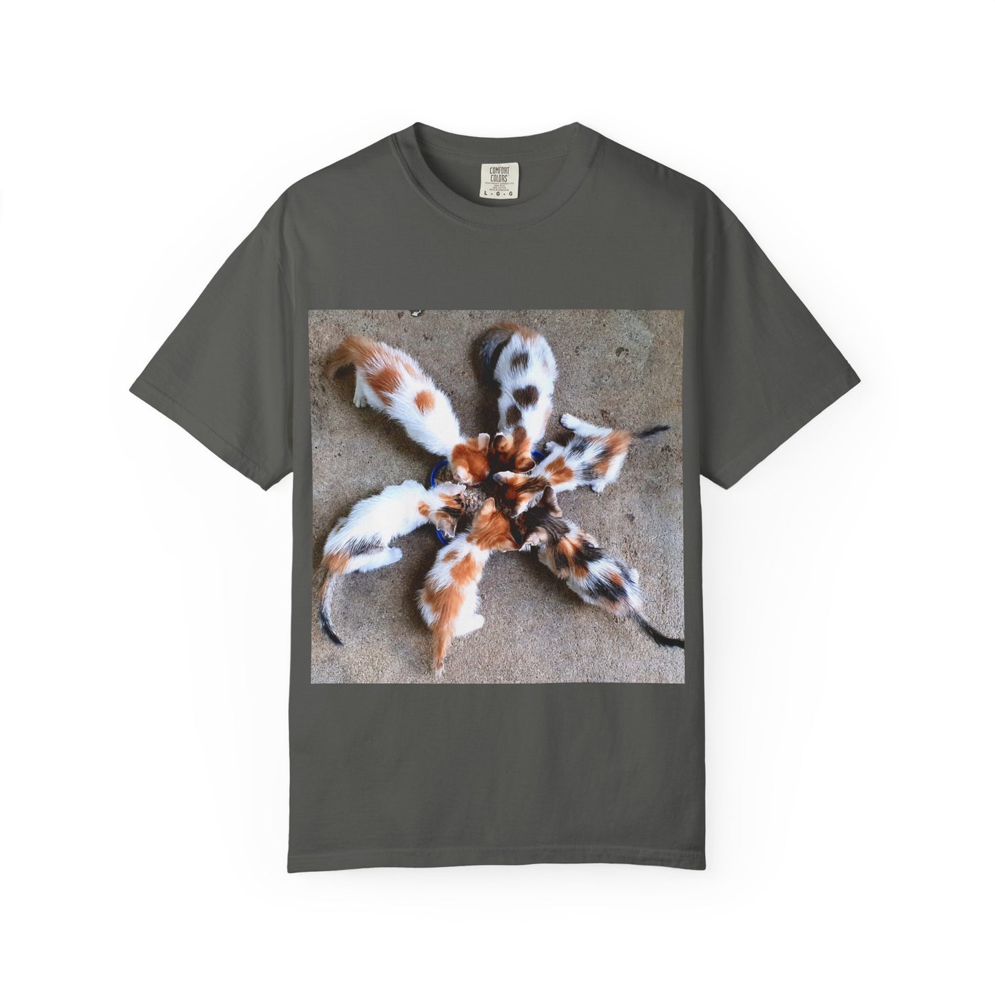 Unisex Garment-Dyed T-shirt Kittens