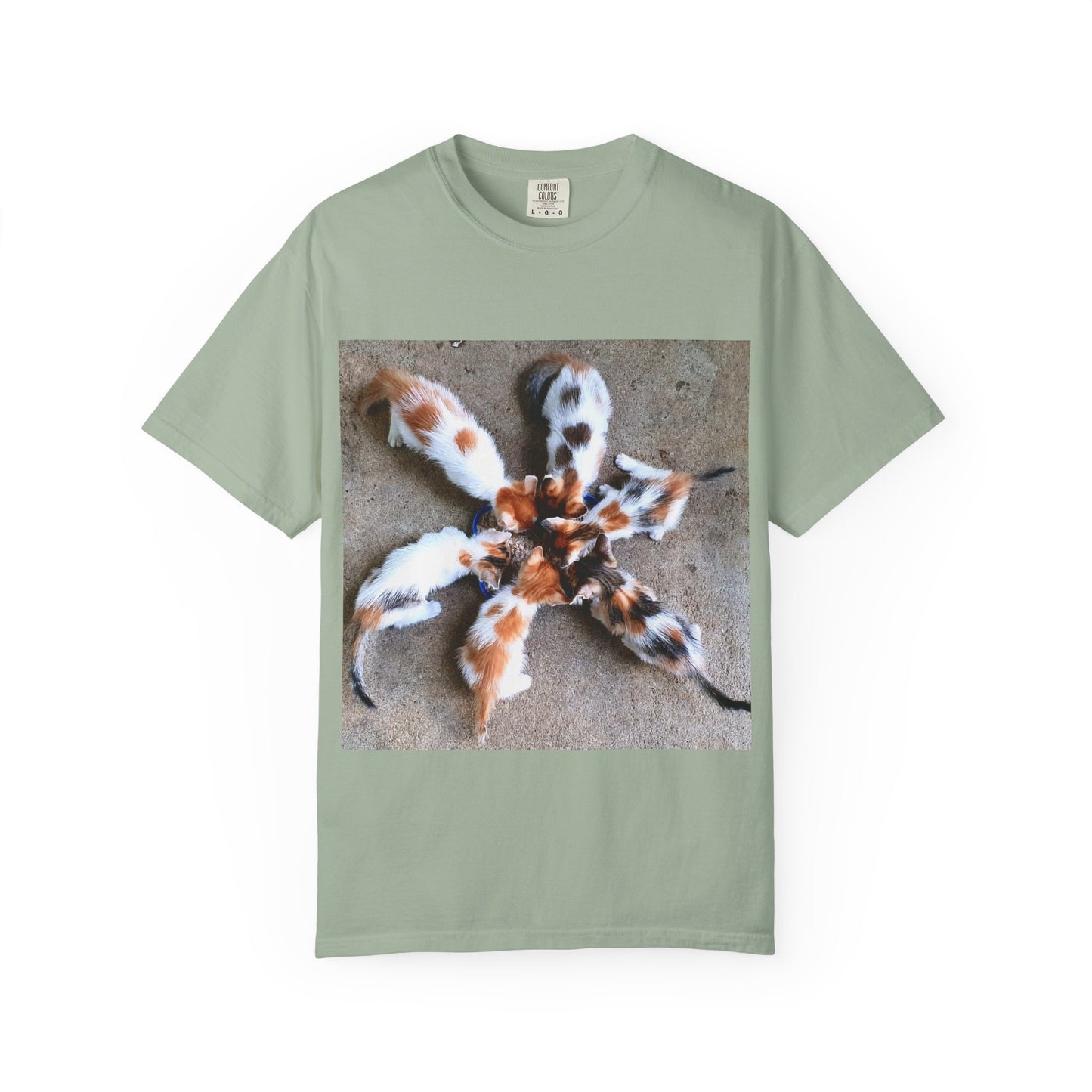Unisex Garment-Dyed T-shirt Kittens