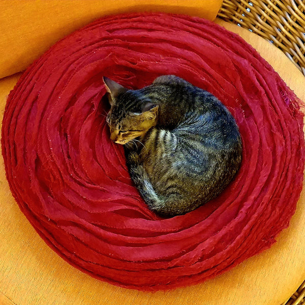Cat sleeping on a red woven mat on a wooden surface
