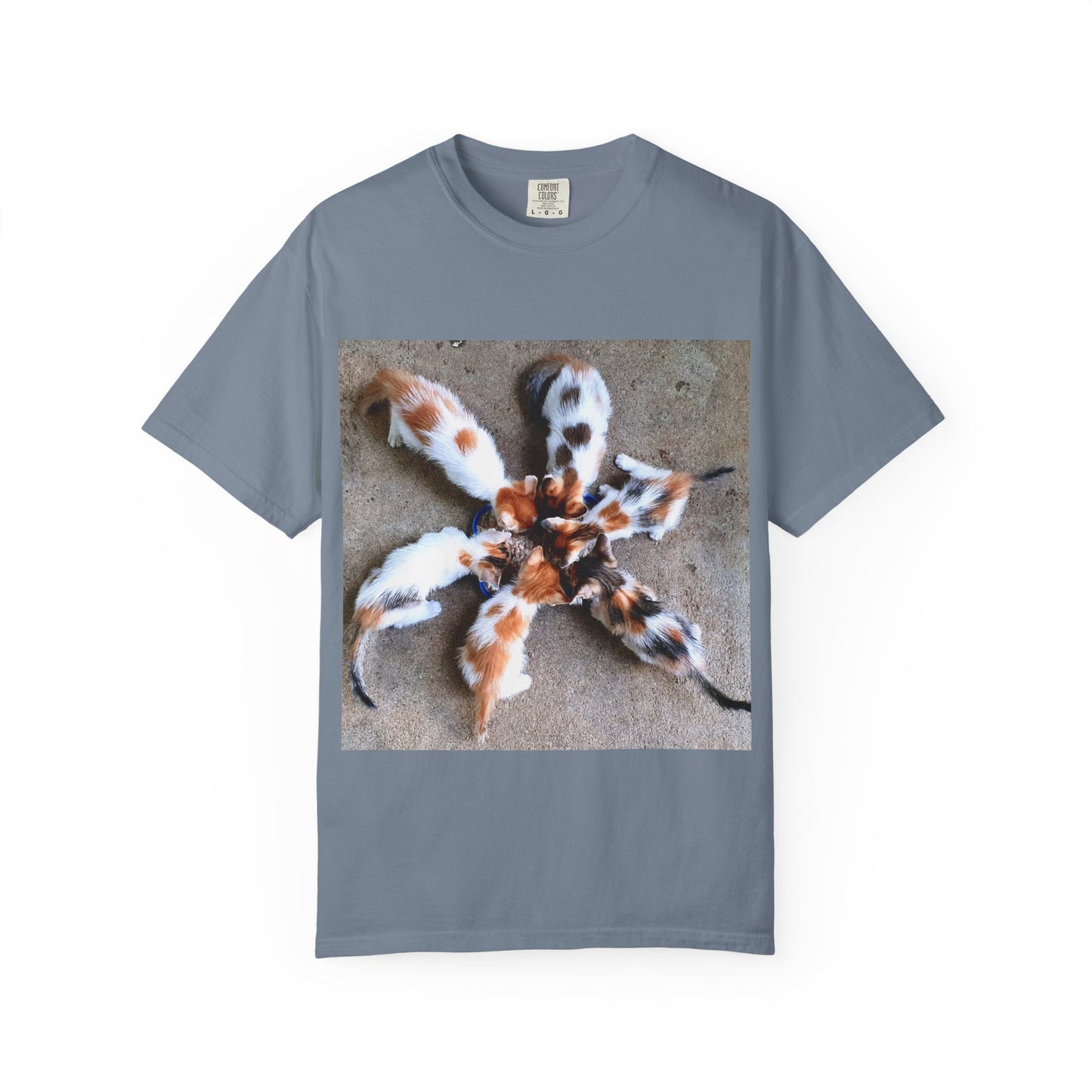 Unisex Garment-Dyed T-shirt Kittens